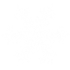 snowflake 7 white