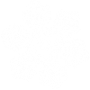 snowflake 10 white