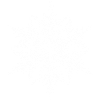 snowflake 5 white