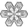 snowflake 1 black