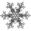 snowflake 7 black
