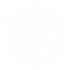 snowflake 9 white