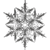 snowflake 5 black
