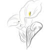 CALLA YELLOW-GREY