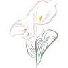 CALLA mix froid