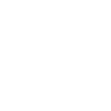 Diver