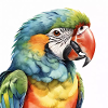 Ara aquarelle