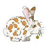 Rabbit with dandelion