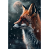 Renard