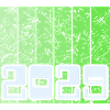 2029