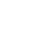 Raccoon Funny Gift
