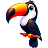 Toucan