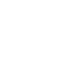 Raccoon Funny Gift