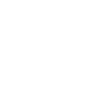 Raccoon Funny Gift