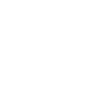 Raccoon Funny Gift