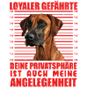Rhodesian Ridgeback LOYALER GEFÄHRTE Lustiges