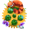 Roter Panda
