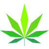 Cannabis