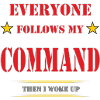 MY COMMAND