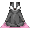 Badger Fitness Yoga Meditation