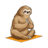Sloth Fitness Yoga Meditation