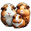 Three cute guinea pigs