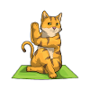 Cat Fitness Yoga Meditation