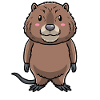 Cute muskrat