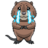 Mignon rat musqué