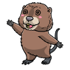 Cute muskrat