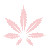 Cannabis Blatt
