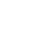 Bodyguard Sarcasm funny Gift Bodyguard