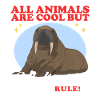 Walrus Walrus Walrus Walrus Gift