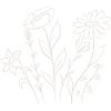 Spring Flowers