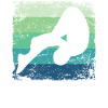 Diving, Artistic Jumping, Synchronized Diving