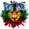 Mapuche