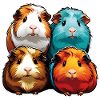 Quatre mignons cochons d’Inde
