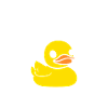 humour canard