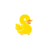 humour canard