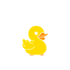 humour canard