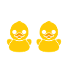 humour canard