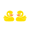 humour canard