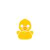 humour canard