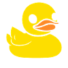 canard