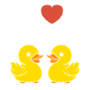 humour canard