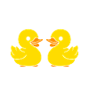 humour canard