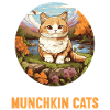 Munchkin Chaton Munchkin Chat