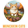 Munchkin Chaton Munchkin Chat