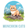 Munchkin Kitten Munchkin Cat
