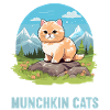 Munchkin Chaton Munchkin Chat